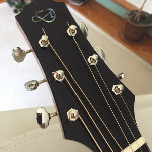 Signature Series